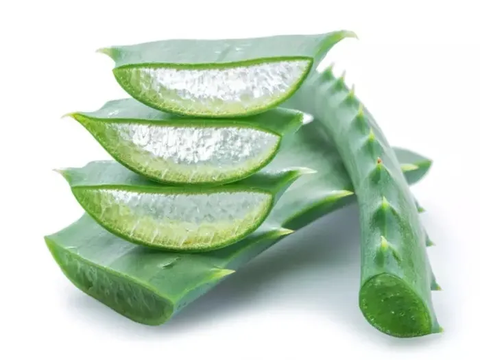 1714818934397.jpeg Cilt bakımında mucizeler yaratıyor! Evde aloe vera yetiştirmeniz için 7 neden... - 3
