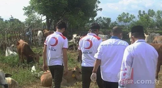 Türk yardım kuruluşları dünyanın dört bir yanında kurban eti dağıtıyor