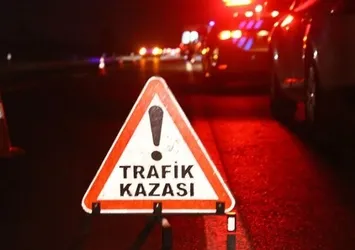 Minibüs dehşet saçtı! 3 yaralı çok sayıda koyun telef