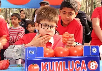 3 dakikada 5 kilo domates yedi