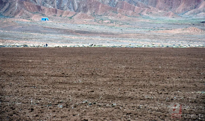 TC kimlik numarası 0,2,4,6,8 olanlar... Mazot gübre desteği yattı mı, ne zaman ödenecek? Son Dakika:Tarih netleşti! 5