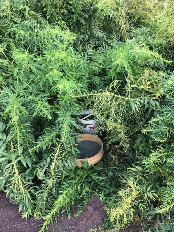 Terör örgütü PKK’nın finans kaynağına bir darbe daha