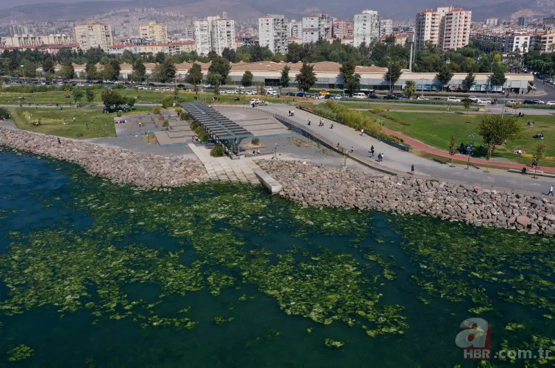 CHP'li Tunç Soyer'in "Yüzülebilir hale gelecek" dediği İzmir Körfezi çevre felaketi uyarısı veriyor 13