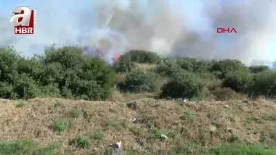 İstanbul Kartal’da ağaçlık alanda yangın