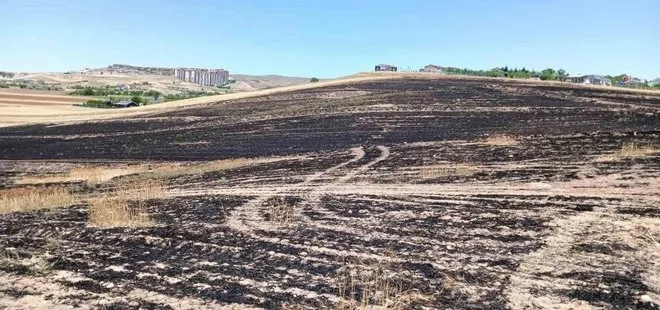 Çöpten çıkan yangın 300 dönümlük ekili araziyi küle çevirdi