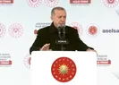 Konya’daki hayvan katliamı