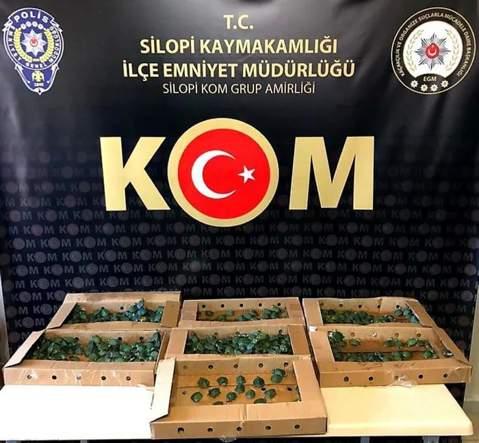 Şırnak’ta terörün finans kaynaklarına operasyon: 46 gözaltı