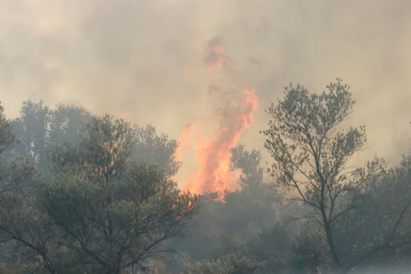Muğla’da 4 farklı bölgede yangın kontrol altına alındı