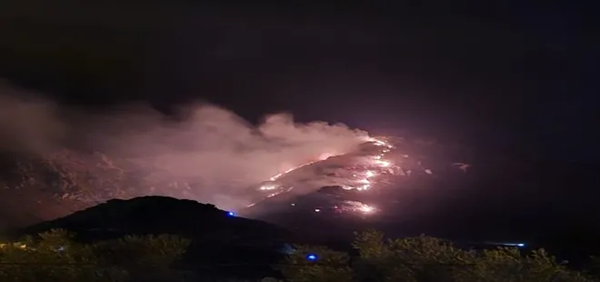Marmara Adası’nda orman yangını