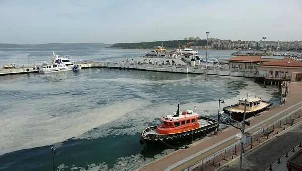 Çevre ve Şehircilik Bakanı Murat Kurum'dan müsilajla mücadele açıklaması! Balık avı yasaklanacak mı? - 7