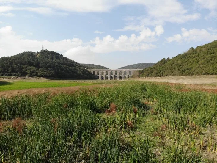 Alibeyköy barajında korkutan görüntü Suların çekildiği bölgede otlar insan boyuna ulaştı