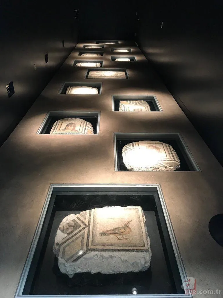 'Çingene Kızı' mozaiği Türkiye'ye getirildi 5