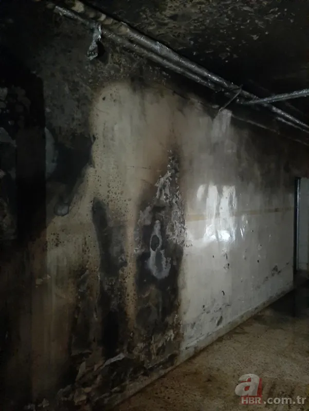 Teröristlerin kirli yüzü! Bakanlık paylaştı... 6