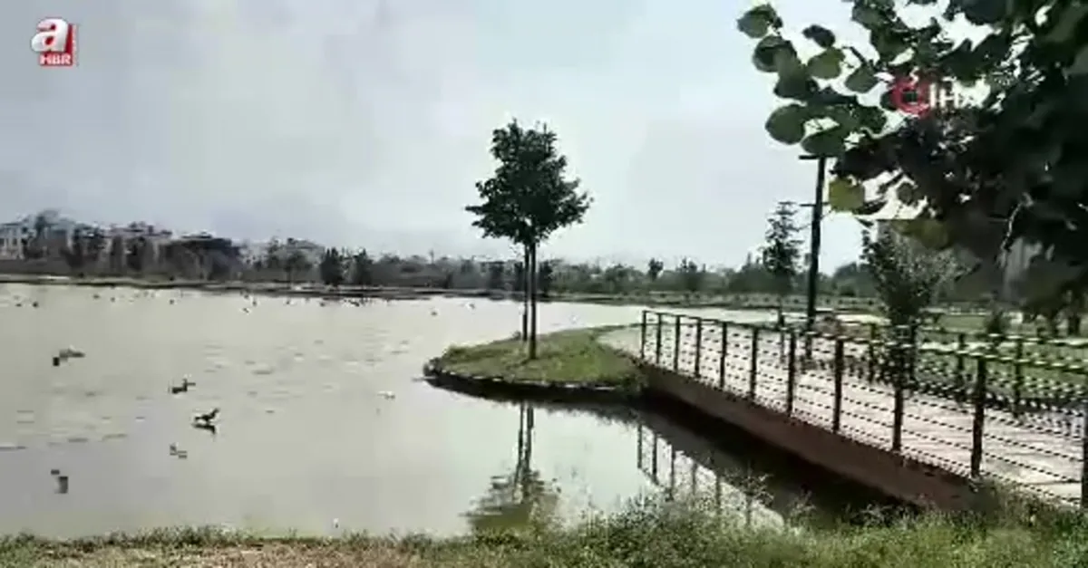 Iğdır'da kavurucu sıcaklar etkili oldu