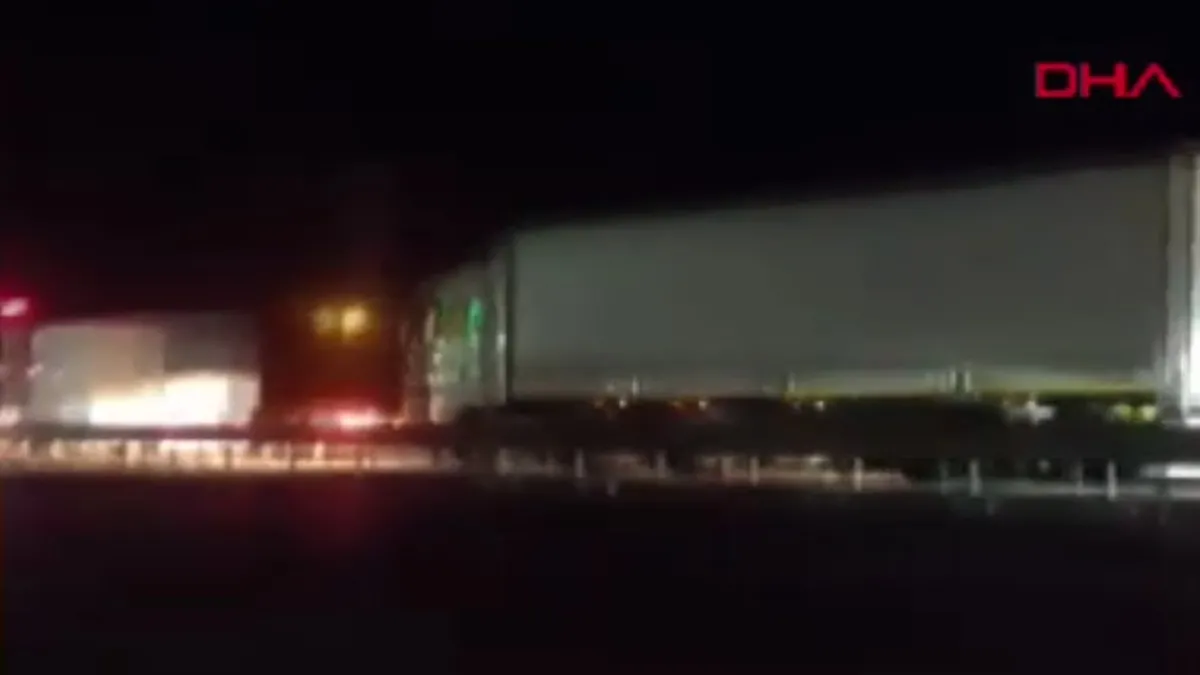 Sakarya'daki yangın nedeniyle D-650 karayolu trafiğe kapatıldı