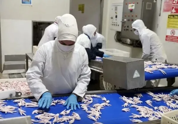 Uşak’tan dünyaya satıyor! Hedefleri 50 milyon