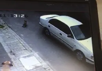3 aylık köpeği ezip yoluna devam etti
