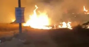 Didim’de 5 dönüm makilik alan yandı