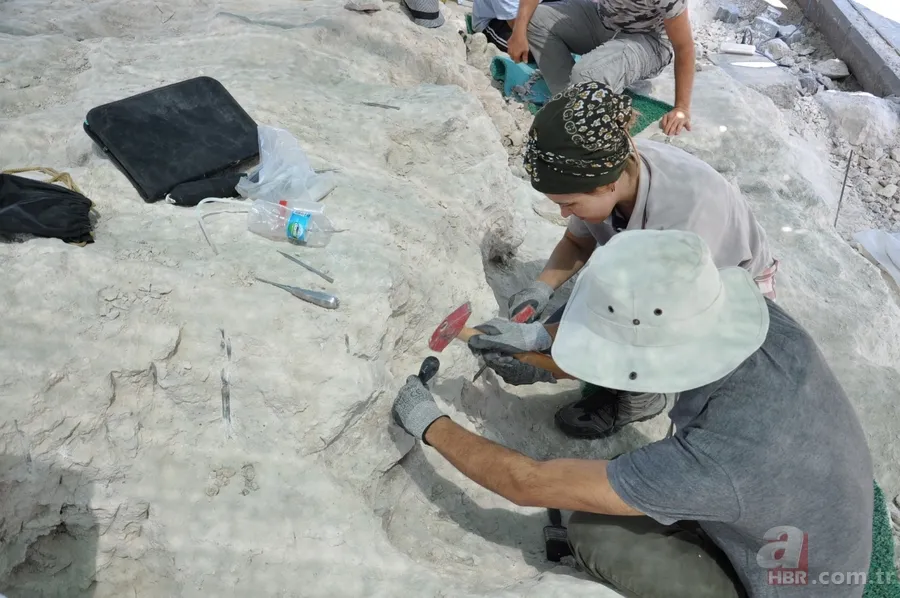 Kapadokya'da 9 milyon yıllık fosiller gün yüzüne çıkarılıyor 2