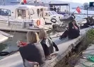 İnsanların canı hiçe sayıldı!