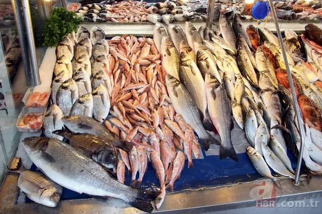 Türkiye ile Hollanda arasındaki ekonomik ilişkilerde son durum 9