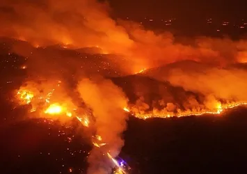 Orman yangınlarının çıkış sebebi sabotaj mı doğal yollar mı? Uzman isim ağaç türlerinin alevlerdeki etkisine dikkat çekti
