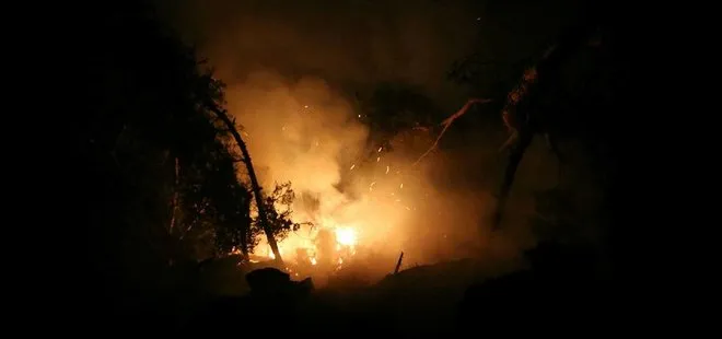 Son dakika: Kastamonu’da orman yangını