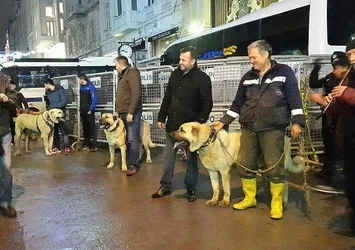 Hollanda'ya kangallı protesto