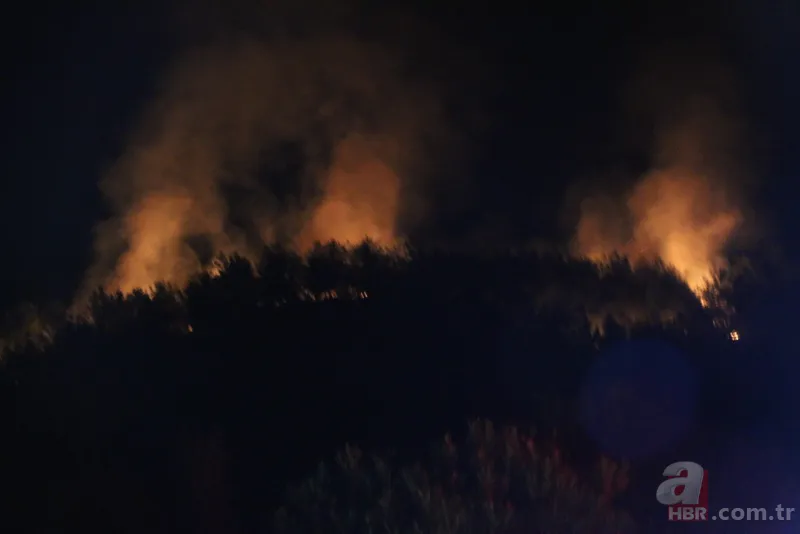 Antalya, Adana, Marmaris, Mersin, Muğla, Osmaniye ve Kayseri'deki orman yangınlarına müdahale ediliyor! Kahreden görüntüler 24