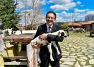 Veysel Tiryaki kimdir, kaç yaşında?