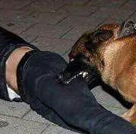 Bakan Çavuşoğlu şok fotoğrafları paylaştı