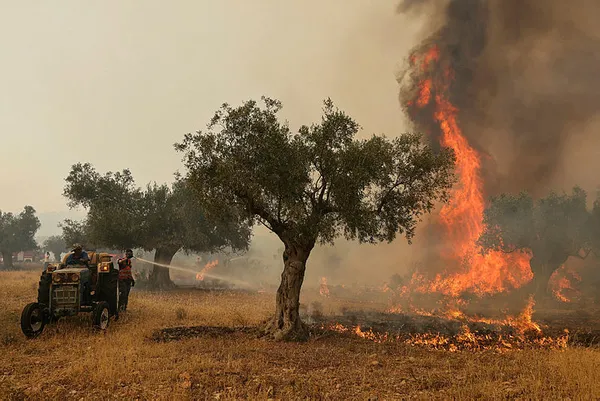 Başkan Erdoğan talimat verdi! Türkiye’den Yunanistan’a yangın söndürme desteği