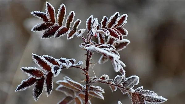 SON DAKİKA! Kar alarmı verildi! Meteoroloji'den yeni hava durumu raporu | İstanbul'da kar yağışı devam edecek mi? O illerde yaşayanlar dikkat - 4