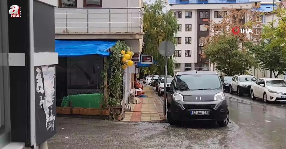 Tunceli’de sağanak yağış