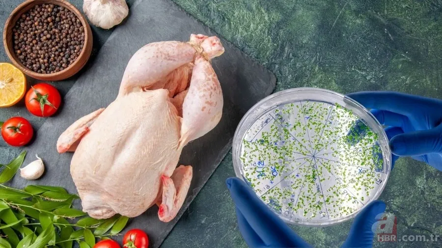 Listeria monocytogenes bakterisi nasıl bulaşır, belirtileri nelerdir? 1