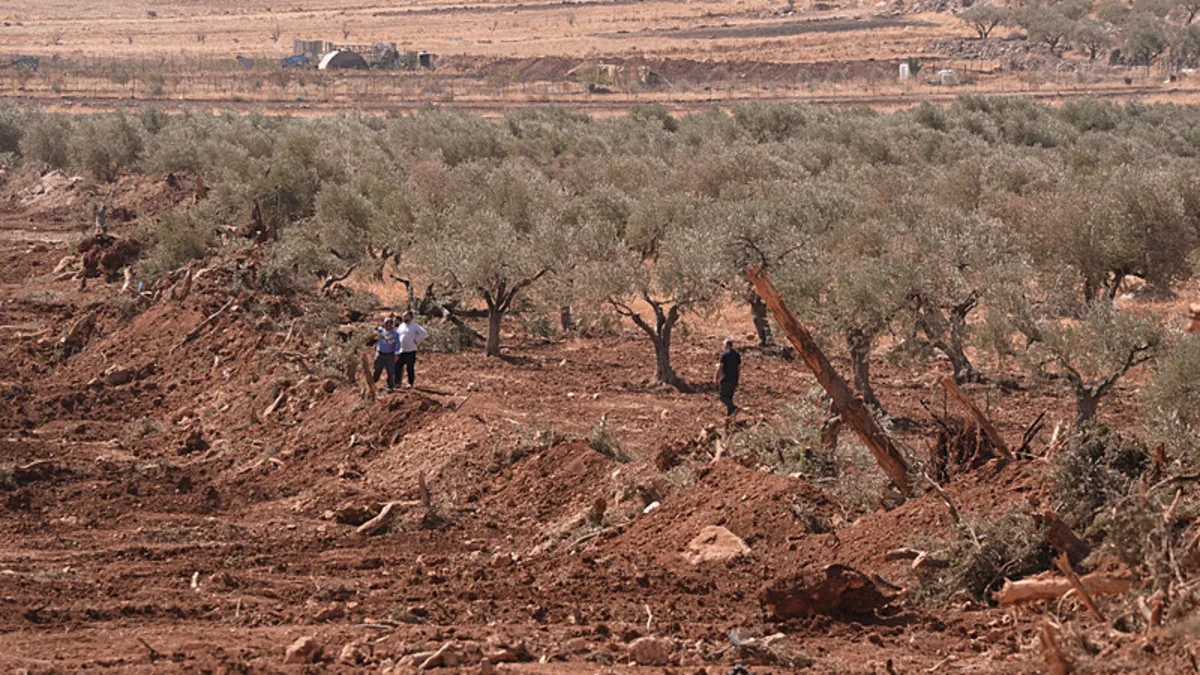 Gaspçı İsraillilerden Batı Şeria'da 3 kaçak yerleşim daha!