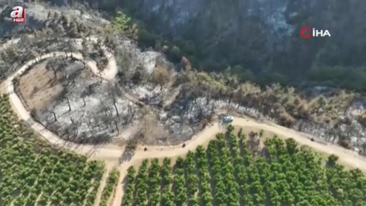 Sadece o alan yeşil kaldı