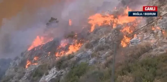 Muğla’daki Çökertme’de yangın büyüdü! Bodrum-Ören yolu kapandı A Haber ekibi o anları anbean aktardı