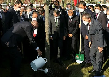 Başkan Erdoğan ve MHP lideri Devlet Bahçeli Millet Bahçesi'ne anı fidanı dikti