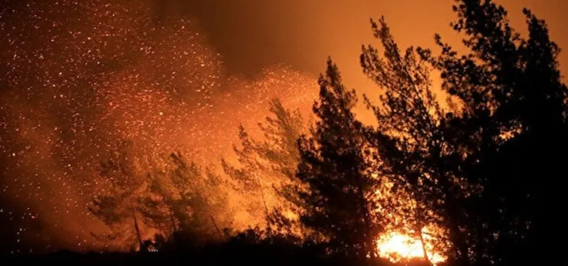 Son dakika: Adana'da ormanlık alanda yangın