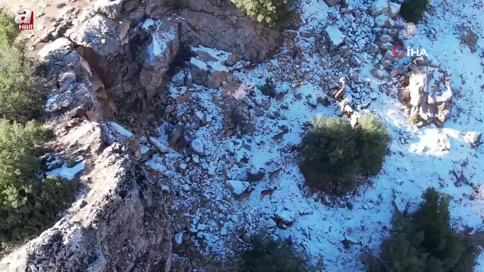 Adıyaman’da yaban keçilerinin popülasyonu çıkartıldı