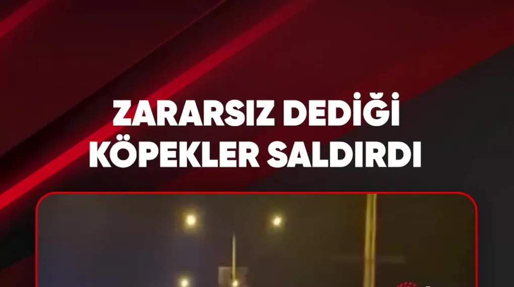 ‼️ ZARARSIZ DEDİĞİ KÖPEKLER SALDIRDI
