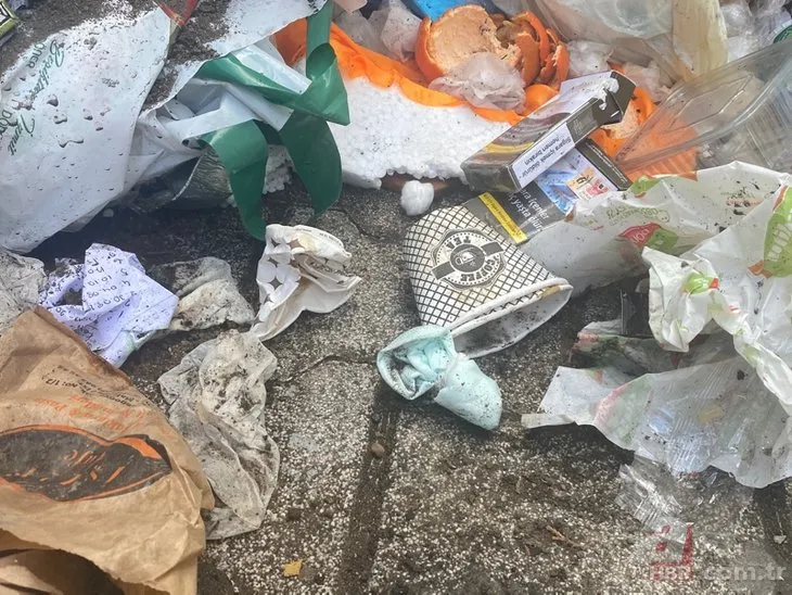 Maltepe çöplüğü: İşçiler greve gitti sokaklar pislik içinde! Uzman isimden korkutan koronavirüs uyarısı