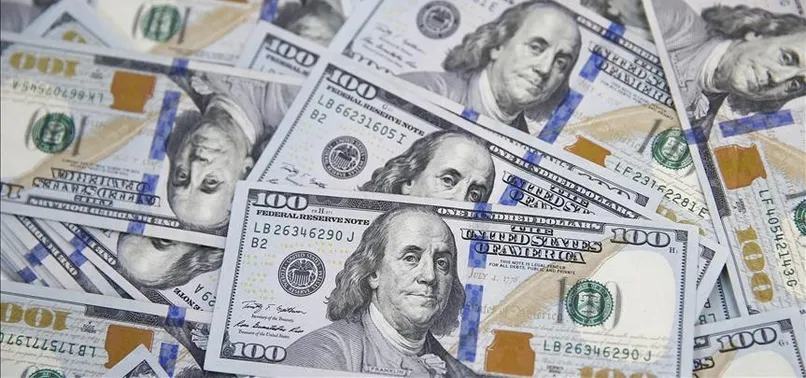 Merkez Bankasından döviz hamlesi