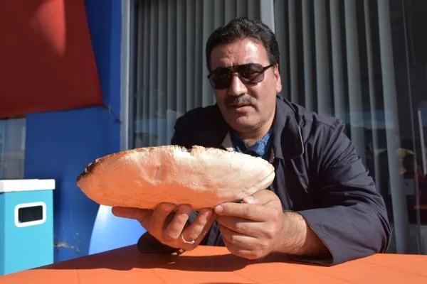 Kars'ta bulunan dev çayır mantarı görenleri şaşırtıyor - 1