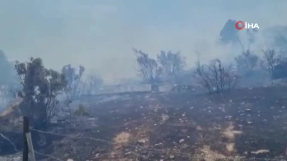 Bodrum’da makilik alanda yangın