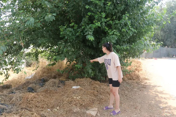 10 günlük bebeği ölüme terk ettiler! Vicdansızlığın da böylesi - 1
