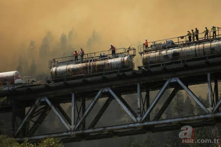 ABD'de dev orman yangını! 85 kilometrekarelik alan alevlere teslim 6