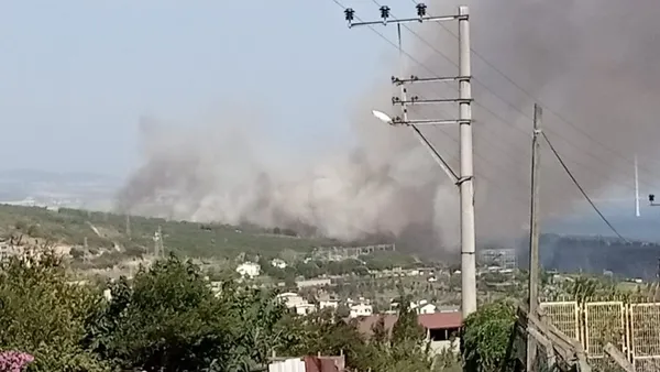 son-dakika-gebzede-tubitakin-ormanlik-alaninda-yangin-1692282849468.jpg Gebze'de TÜBİTAK'ın ormanlık alanında çıkan yangın kontrol altında - 3