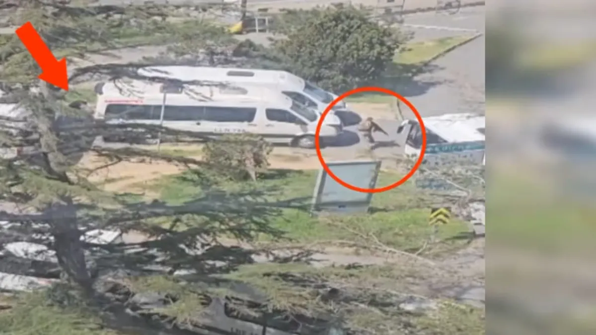 Terör saldırısında polislere yönelik sözlere soruşturma